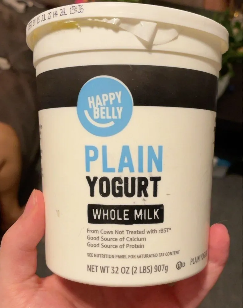 Plain Yogurt Whole Milk