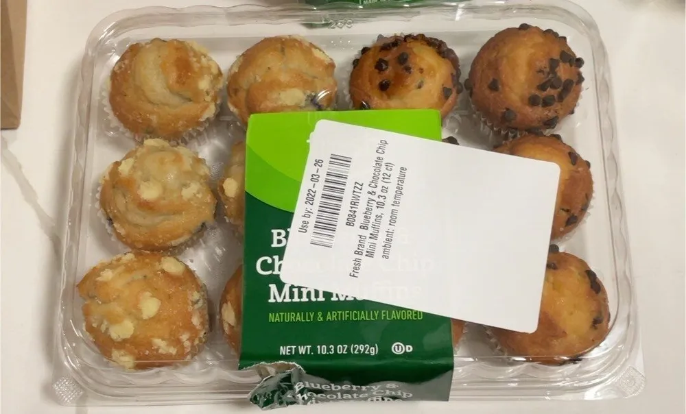 Blueberry and Chocolate Chip Mini Muffins