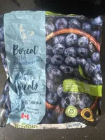 Wild Blueberries