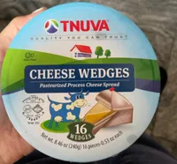 Pasteurized Process Cheese Wedges
