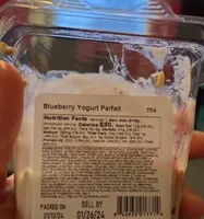 Blueberry yogurt parfait