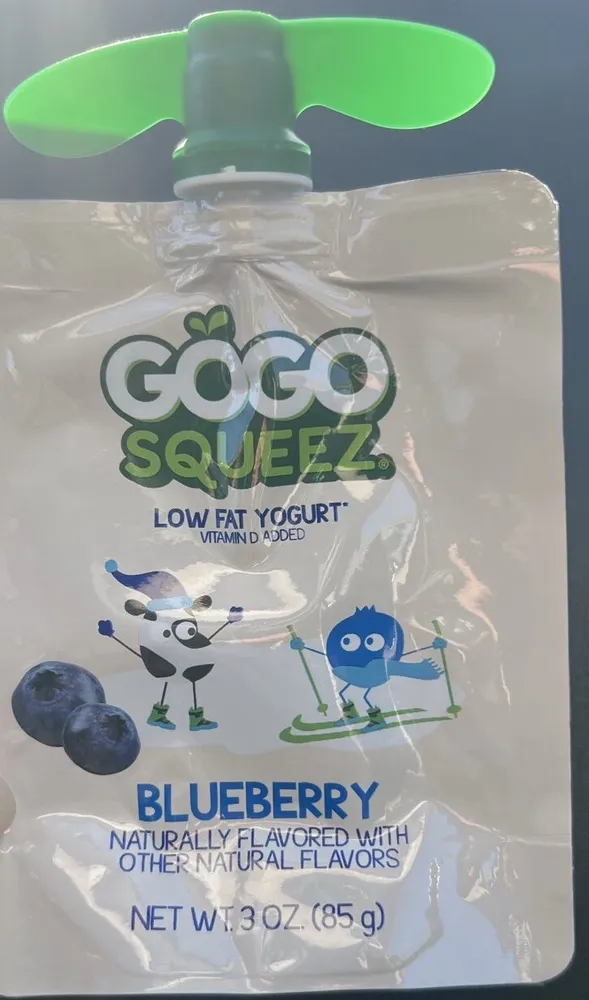 Blueberry Low Fat Yogurt on the Go