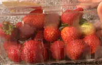 Strawberries