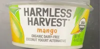 mango organic coconut yogurt