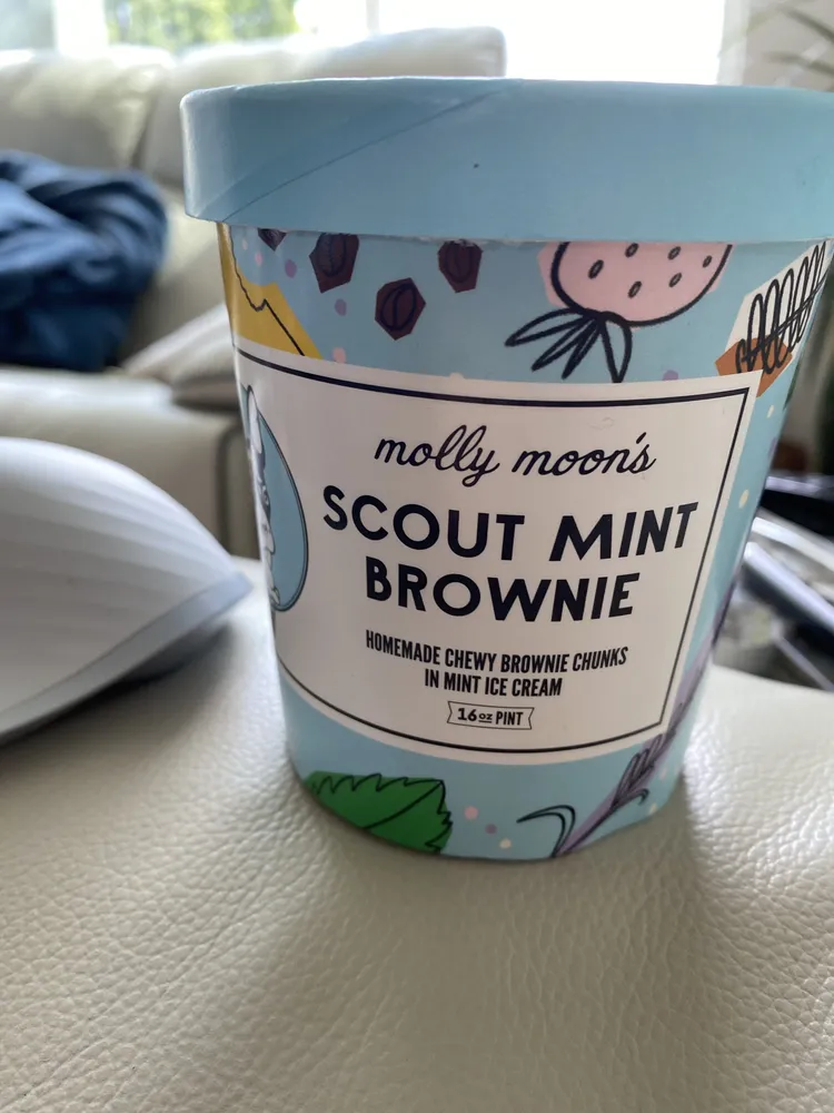 SCOUT MINT BROWNIE