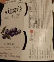 Blueberry icelandic cream-skyr strained lowfat yogurt