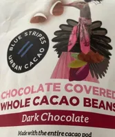 Chocolate Covered Whole Cacao Beans Dark Chocolate