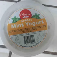 Garlic Mint Yogurt