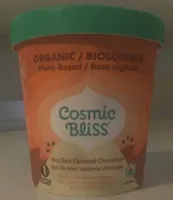 Sea Salt Caramel Chocolate Dairy-Free Frozen Dessert