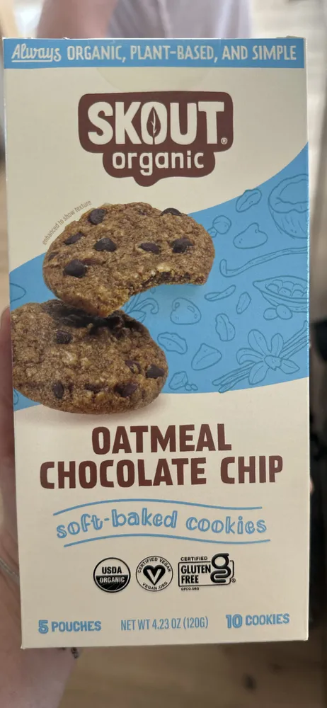 Oatmeal Chocolate Chip Cookie
