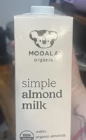 Simple almond milk