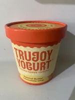 Peanut Butter Chocolate Chip Frozen Greek Yogurt