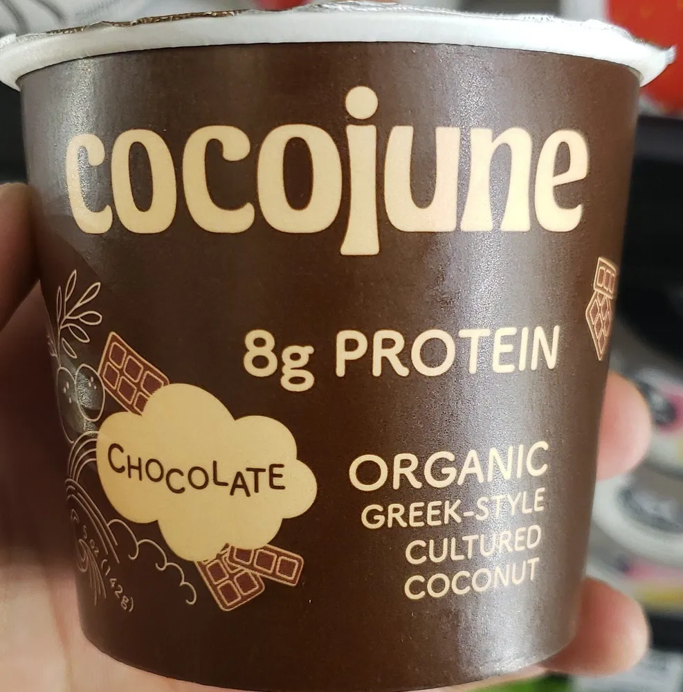 Chocolate coconut yogurt