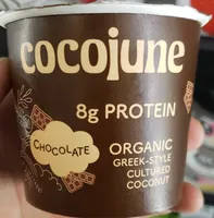 Chocolate coconut yogurt