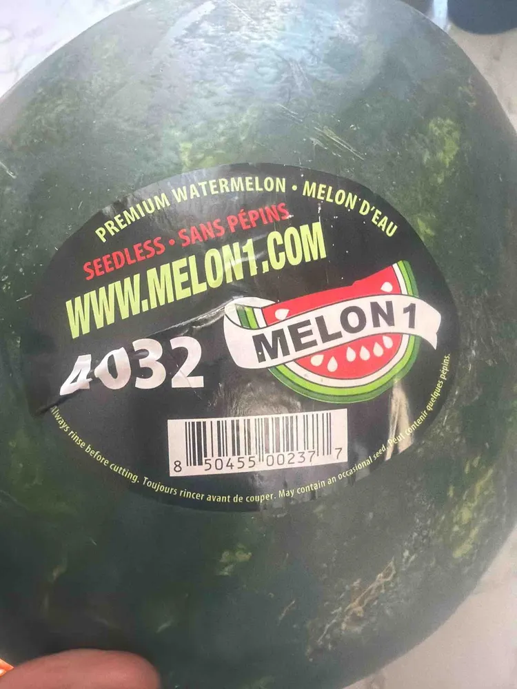 Premium Watermelon Seedless