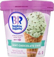 Mint Chocolate Chip Ice Cream