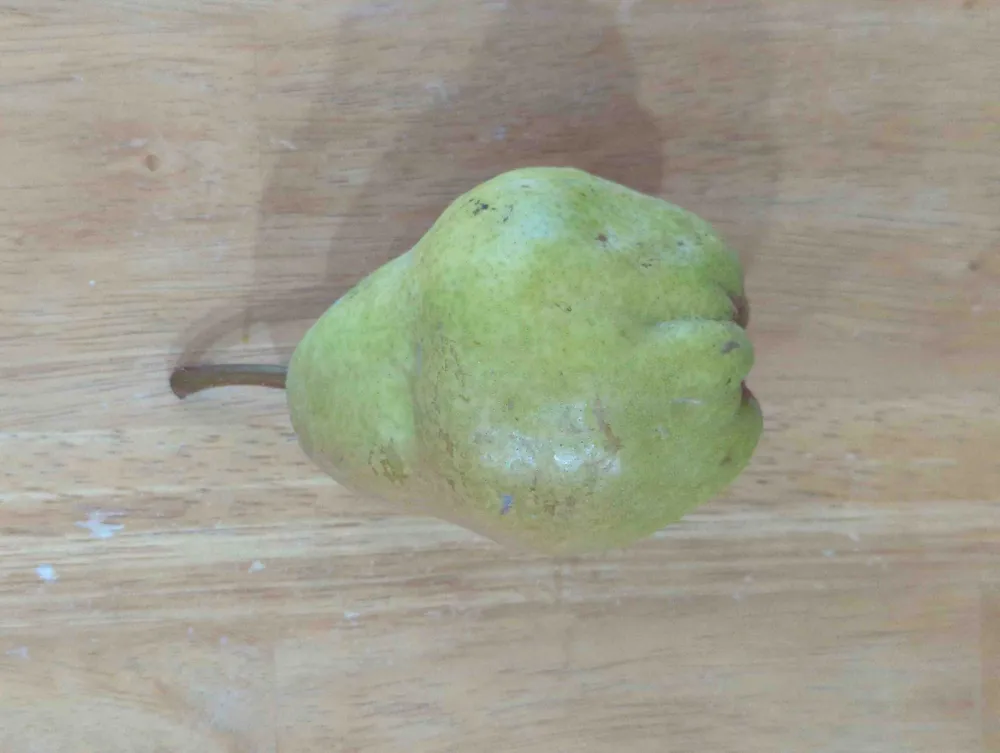 Bartlett pear