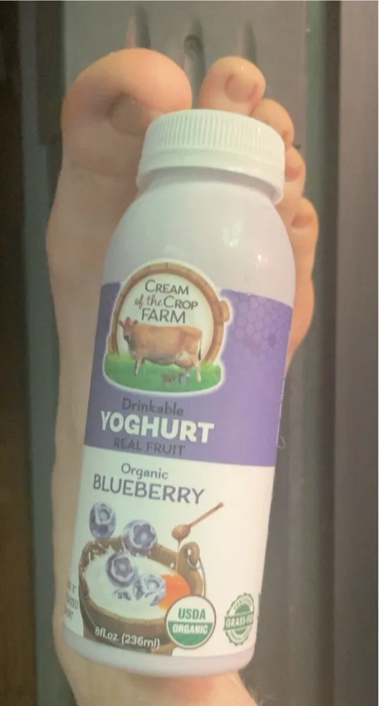 Blueberry yogurt