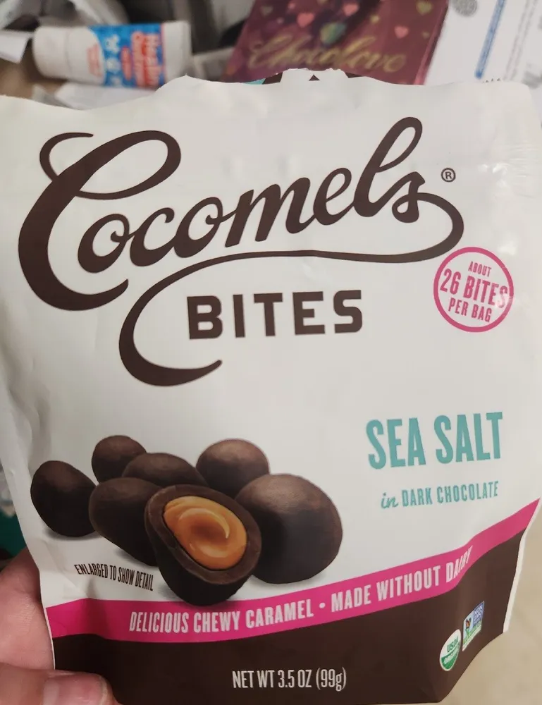 Organic Chocolate Covered Coconut Milk Caramels Bites - Sea Salt
