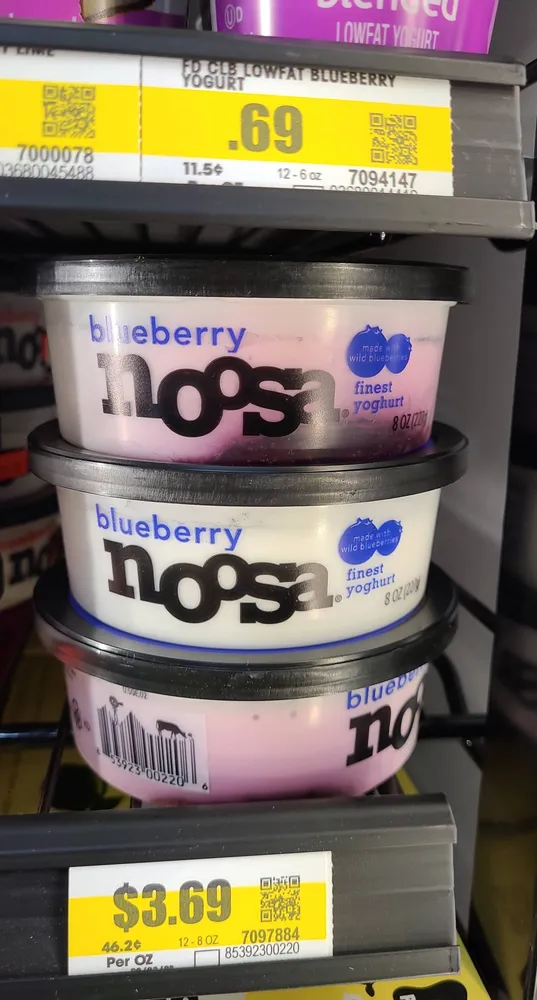 blueberry yoghurt