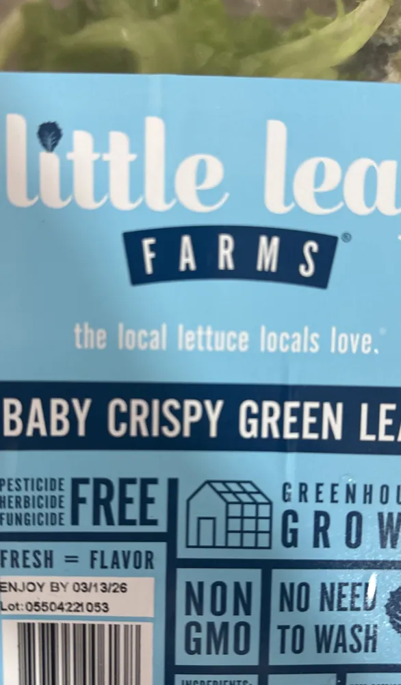 BABY CRISPY GREEN LEAF