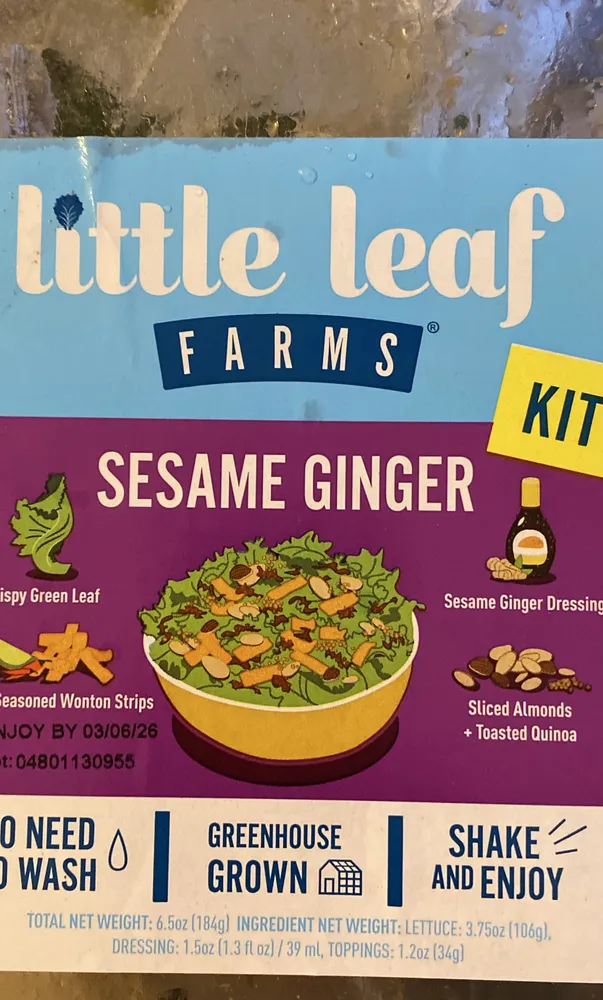 Sesame Ginger salad