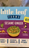 Sesame Ginger salad