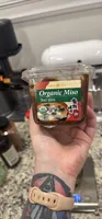 Organic Miso Red Miso