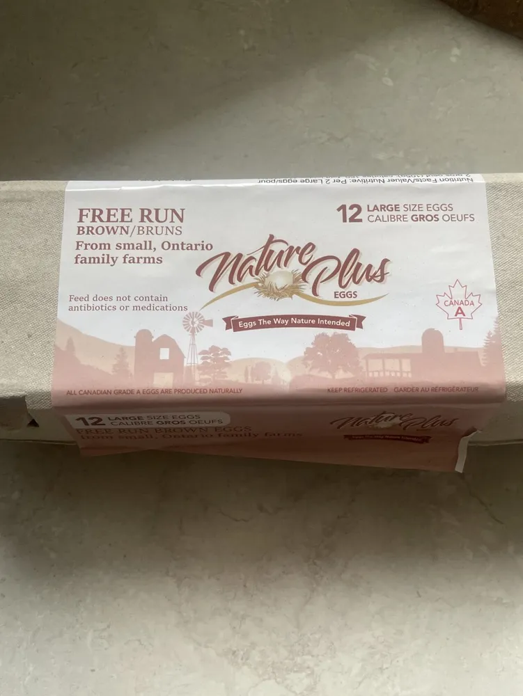 Free Run Brown Eggs Large