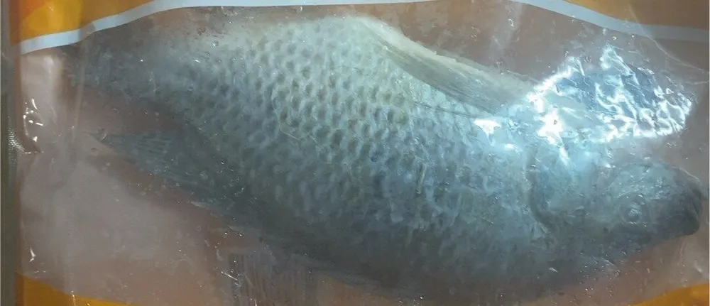 Poisson tilapia