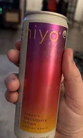 organic blackberry lemon kombucha tonic