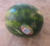 Seedless Watermelon