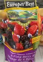 Europes best