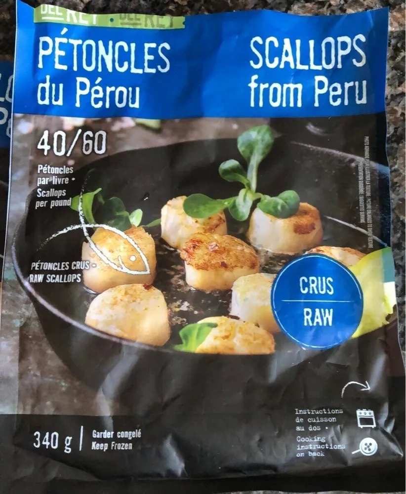 Scallops