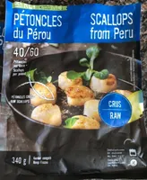 Scallops