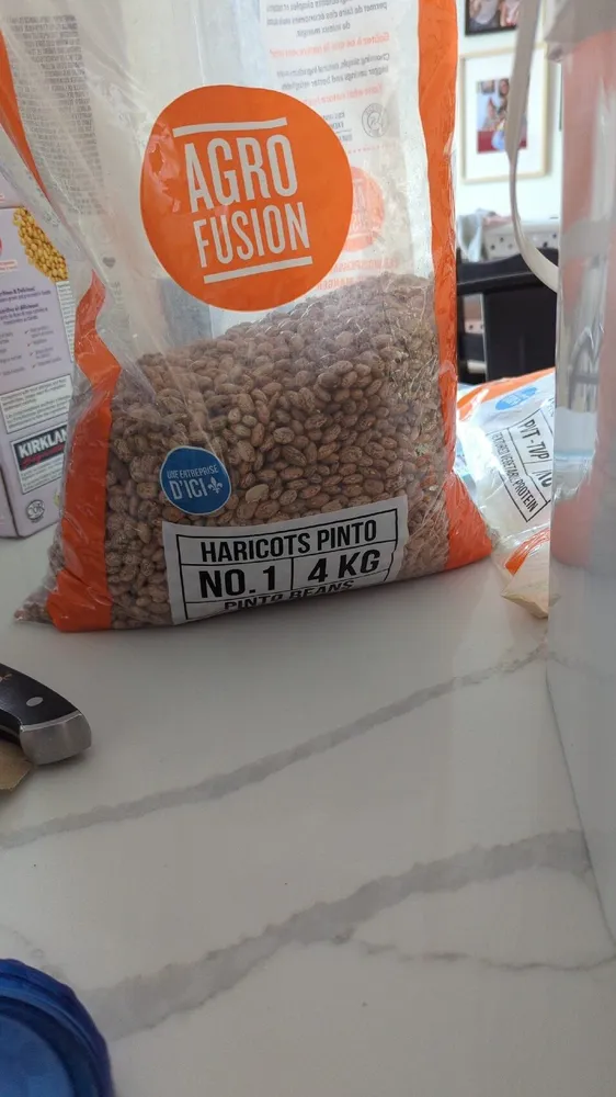 Pinto Bean Dry
