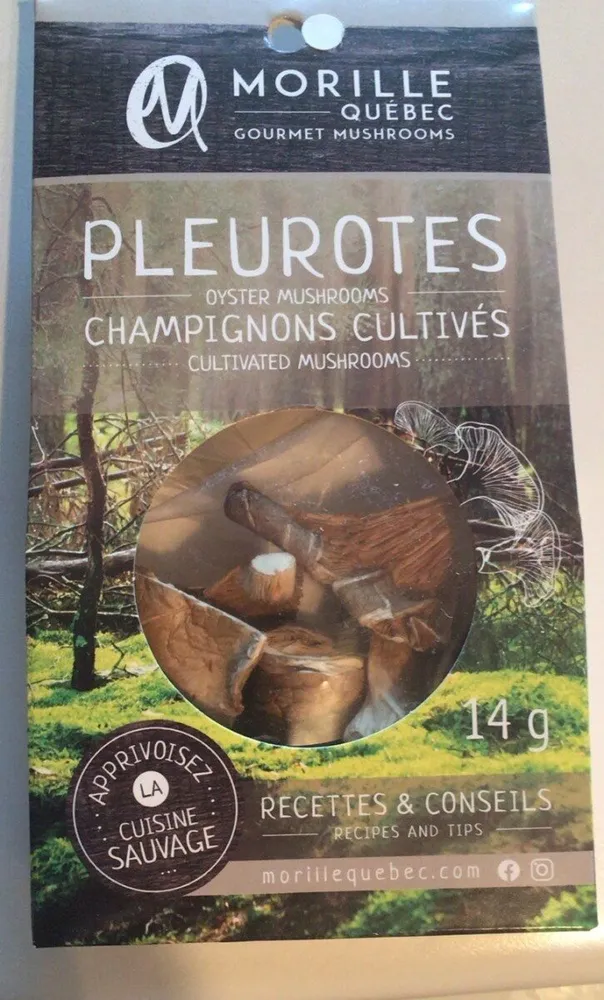 Pleurotes