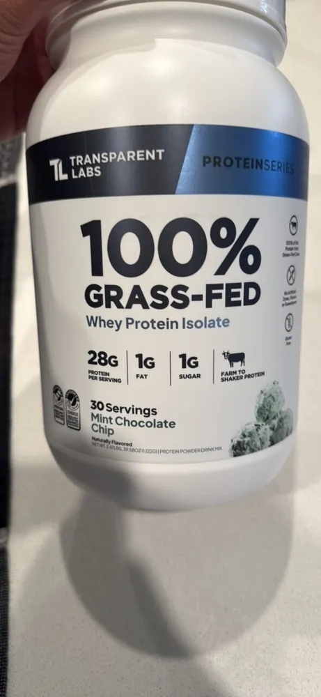 Mint Chocolate Chip Protein Powder Drink Mix