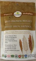 Millet brun sauvage