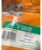 Avocado