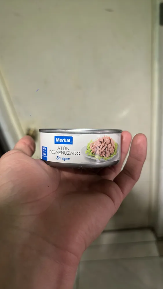 ATÚN DESMENUZADO