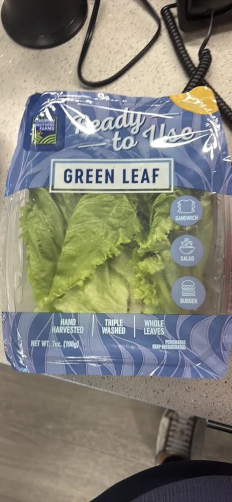 Green Leaf Lettuce