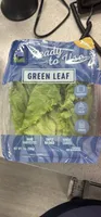 Green Leaf Lettuce