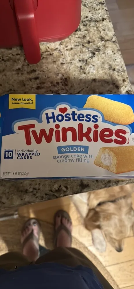sponge cake with creamy filling