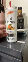 Fizz-Free Peach Mango Green Tea