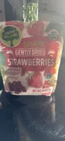 Organic Gently Dried Strawberries