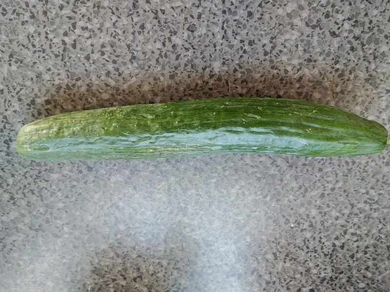 Salatgurke