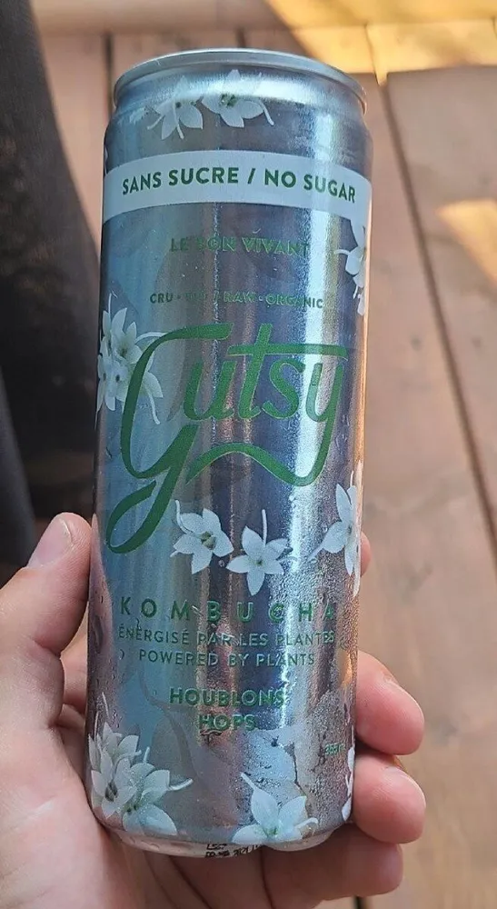Kombucha houblons