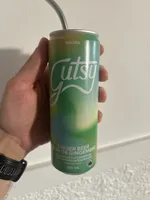 Ginger Beer Mojito