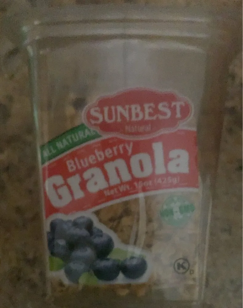 Granola blueberry